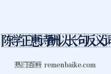 陈学正惠诗酬以长句反义词是什么意思的图片